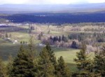 LAND DEVELOPMENT